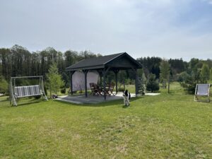IMG_4136